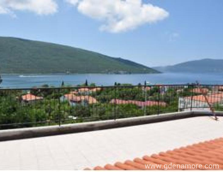 Pogled